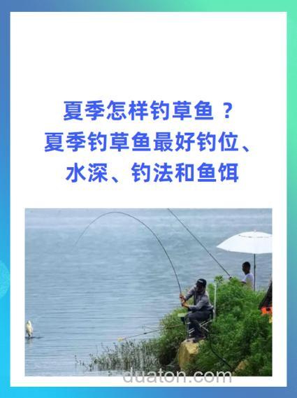 为什么现在在水库钓草鱼不到?现在水库如何钓草鱼?