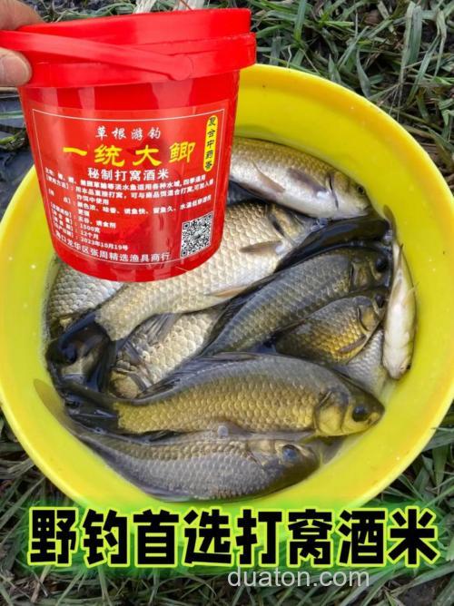 酒米适合什么季节打窝?