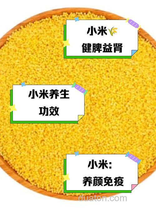 麝香小米怎么用?怎么打窝? 懂者 详细写