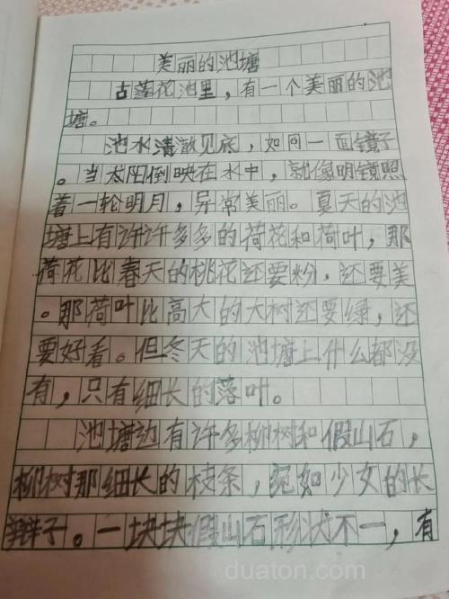 写作文公园的鱼池,多少字都可以
