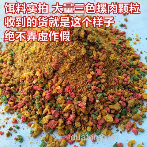 鲤鱼青鱼通杀的饵料?