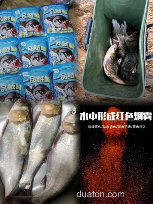 钓鲢鳙的大白粉