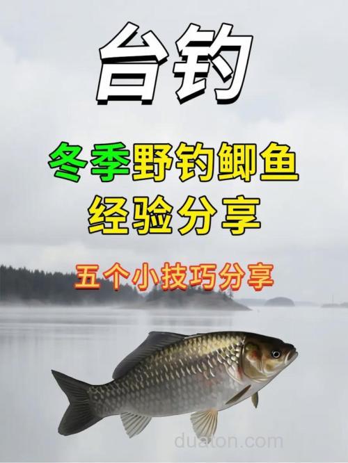 冬季野钓鲫鱼的两个关键问题