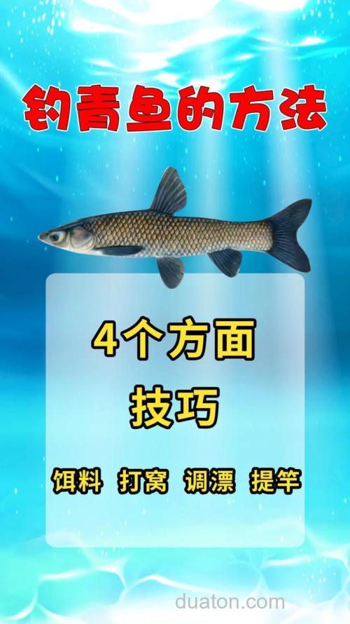 钓大青鱼，记住这几种钓点和钓法