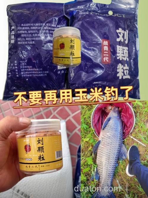这款自制饵料钓鲤鱼鲫鱼青鱼最好使！