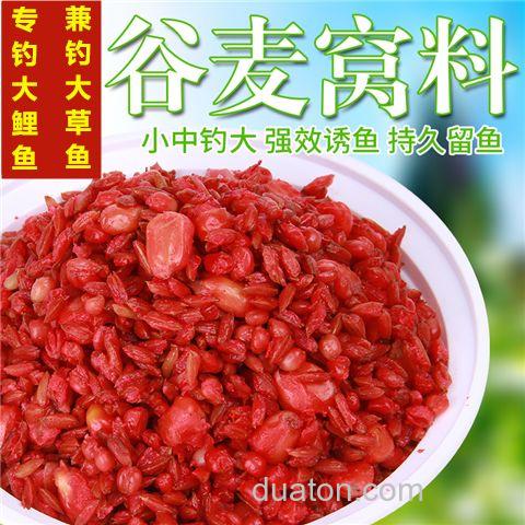 五谷杂粮玉米钓草鱼怎么样?