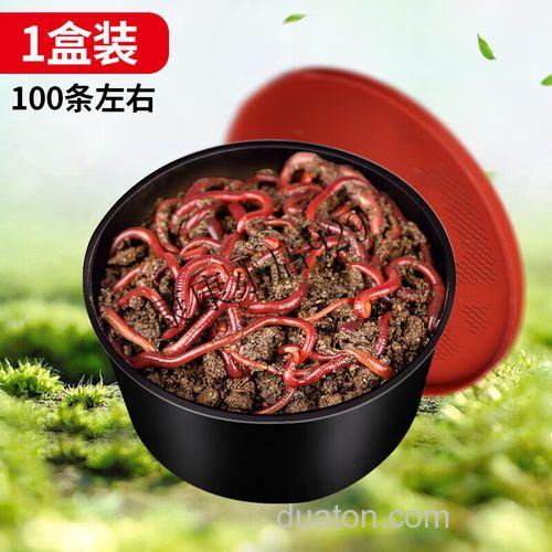 用蚯蚓做饲料钓鲤鱼可以吗?