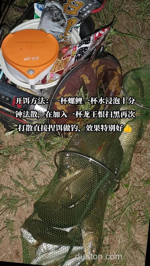 螺鲤2钓鲤鱼怎样搭配