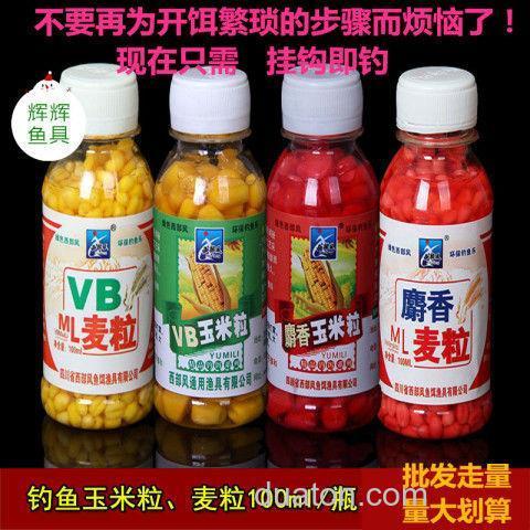 西部风麝香麦粒钓鱼效果？