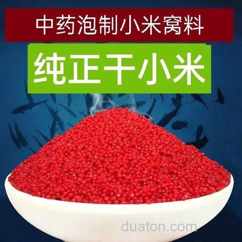 钓鱼用什么泡小米,怎么样配底窝。