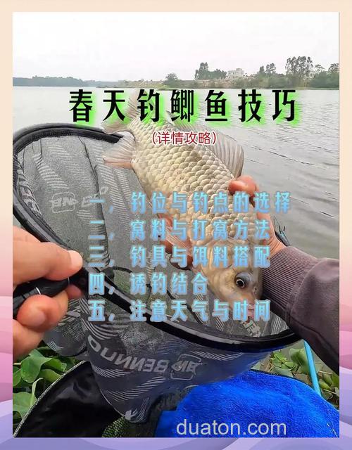 分享春季水草边钓鲫鱼的经验和技巧