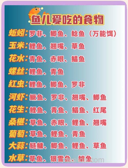鱼最爱吃三种饵料？