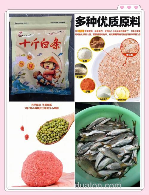 水库钓鲤鱼 钓白条用什么饵料 程宁钓鲫鱼