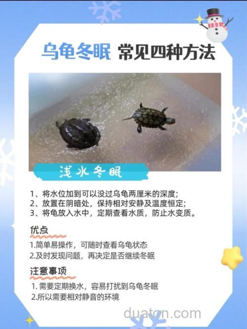 巴西龟应该怎么养???
