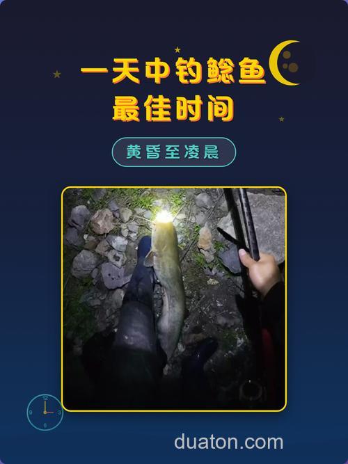 夜钓鲶鱼要用什么比较好钓?要怎样钓?在晚上几点得时候比较好钓?求高手回答…
