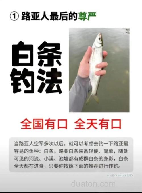 白条怎样钓啊。请教