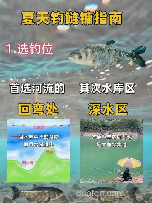 台钓胖头鱼如何选钓位？掌握这几点，水深2-4米是关键