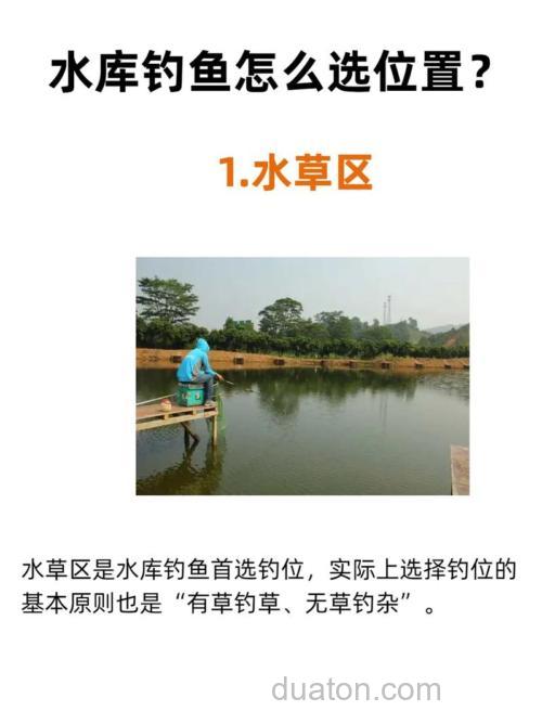 水库钓鲤鱼选什么位置用什么饵好
