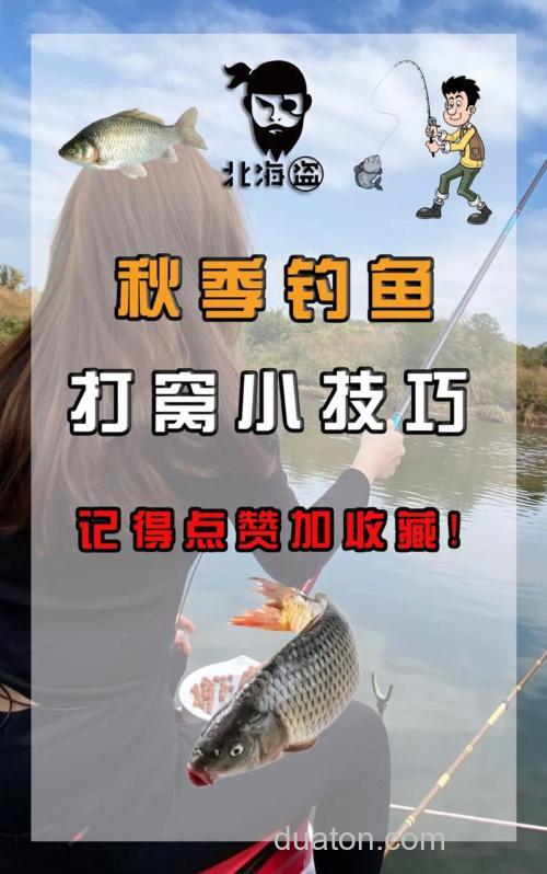 深秋果酸钓鱼的正确使用方法?