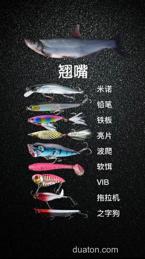 什么淡水鱼可以路亚 说说什么饵料好用