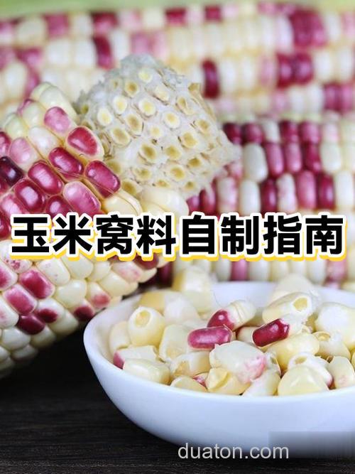 嫩玉米窝料怎么保存?