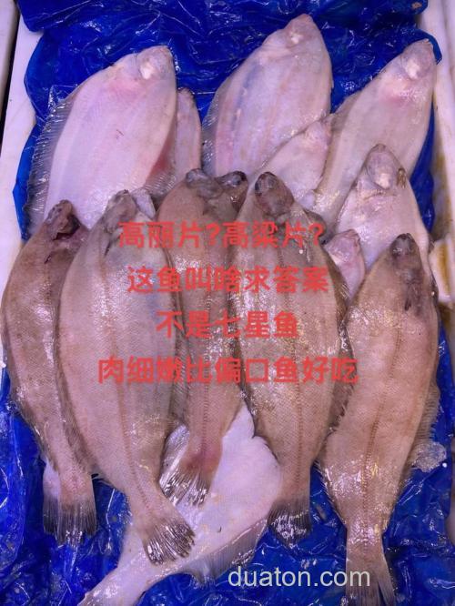 什么鱼吃高粱？