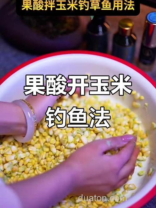 玉米加果酸钓鱼的正确使用?