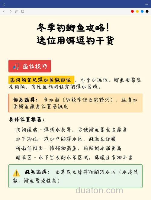 冬钓鲫鱼选位技巧与用饵经验