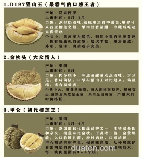 简短寓意好的榴莲昵称?