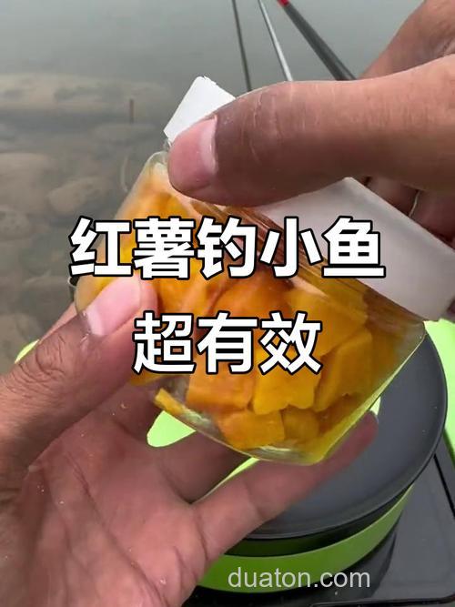 海杆冬天钓鱼加红薯好吗?