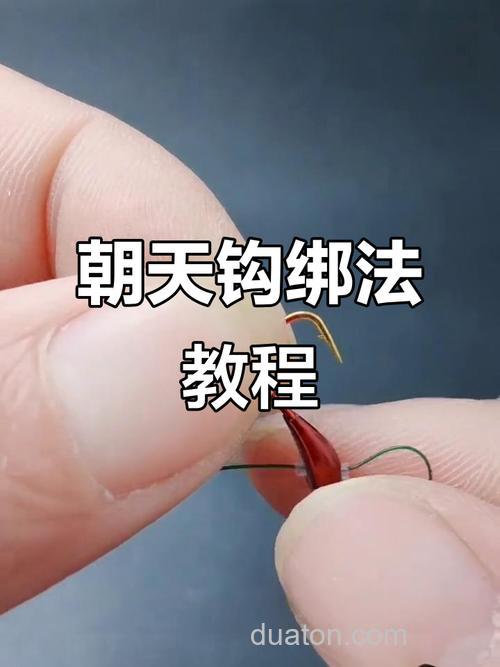 朝天钩传统钓鲫鱼新玩法(上)