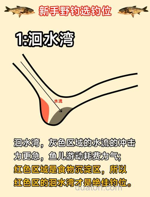 水库钓鱼如何找鱼窝