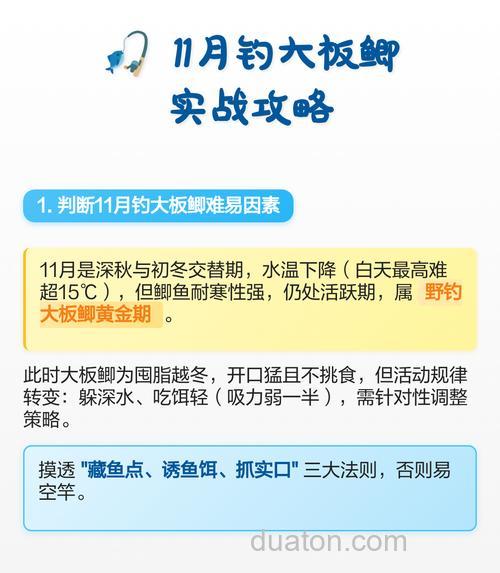 11月钓鱼有什么技术