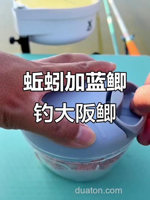 蚯蚓蘸蓝鲫钓鱼效果好?