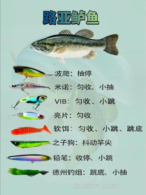 鲈鱼饵料最佳配方制作?