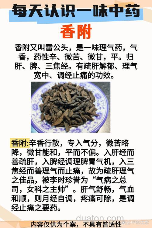 你认为还应加哪一味中药?