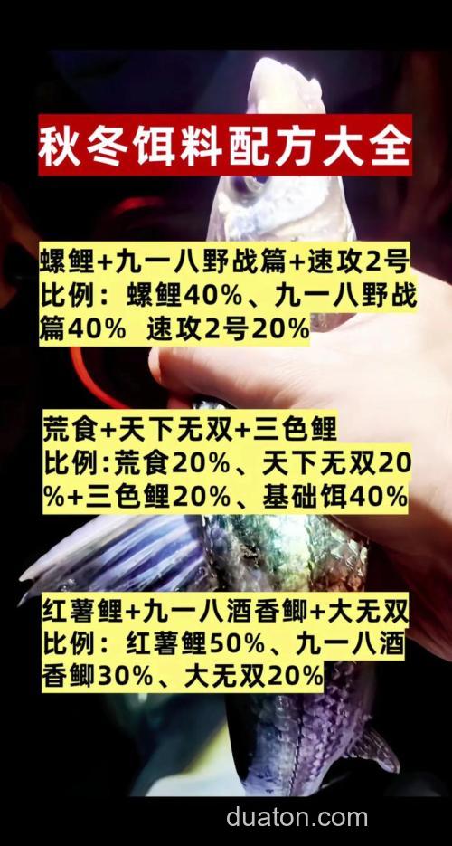 野钓大板鲫用什么饵料最佳?