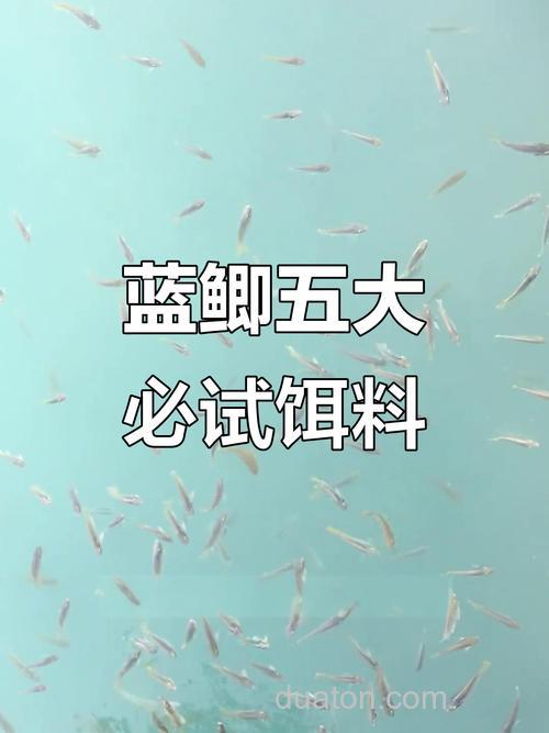 蓝鲫分为哪几种?