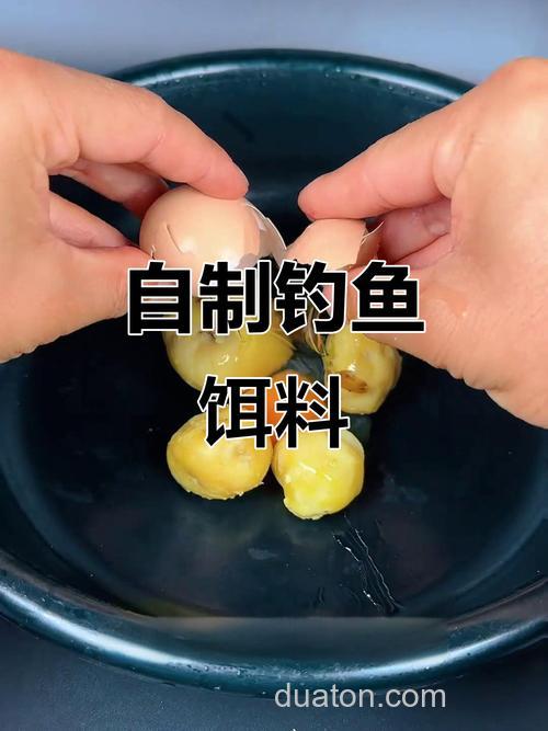 红薯钓鲫鱼的绝密配方?