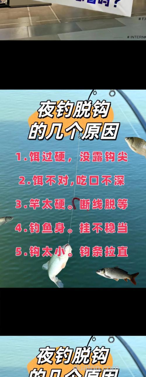 四种钓鲫鱼最常遇到的脱钩原因（上）