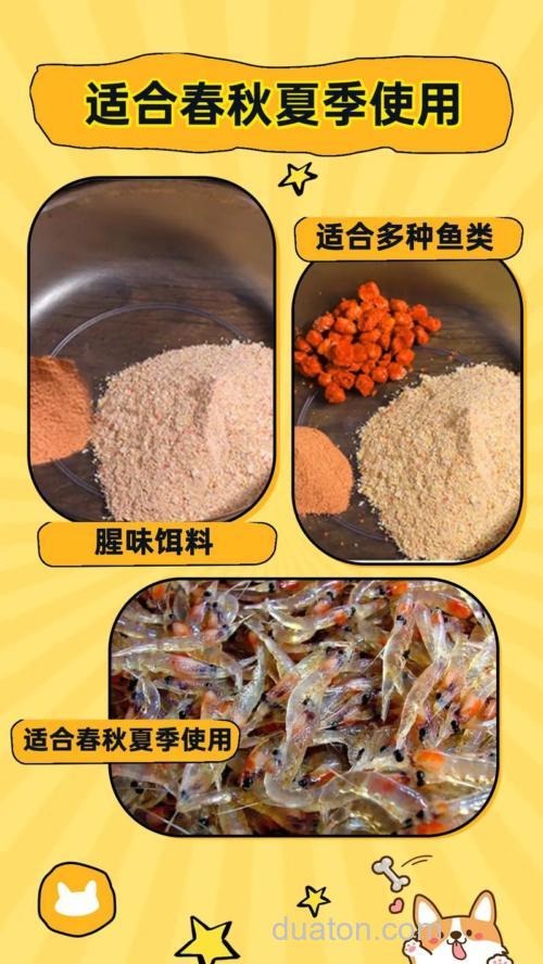 自制钓鱼用虾粉正宗做法?