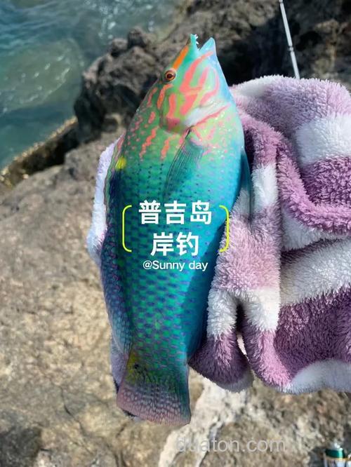 台钓鳗鱼的实用方法及钓点选择,你知道多少?