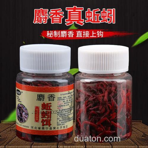 麝香可以泡蚯蚓钓鱼吗