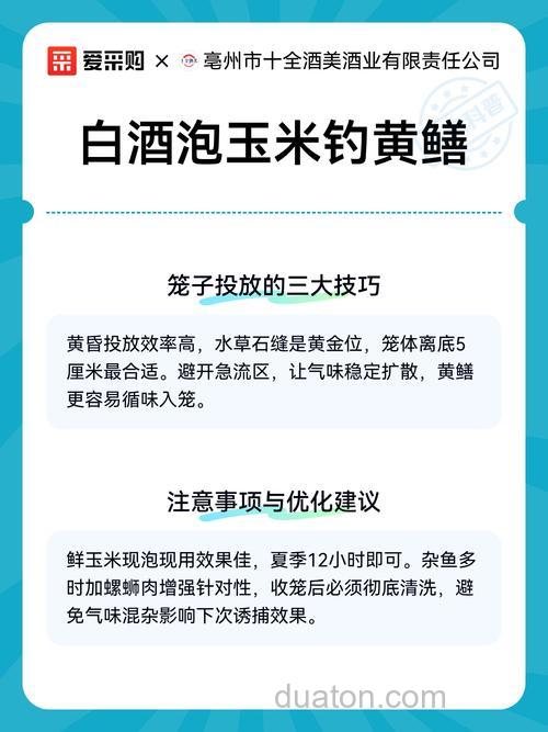 白酒泡玉米粒可以直接钓鱼吗?