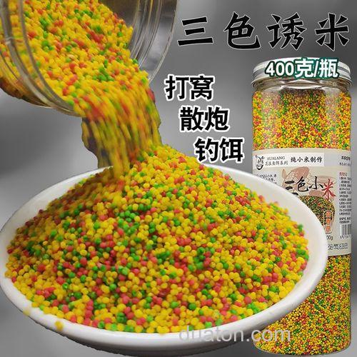 麝香小米适合夏季钓鱼吗？