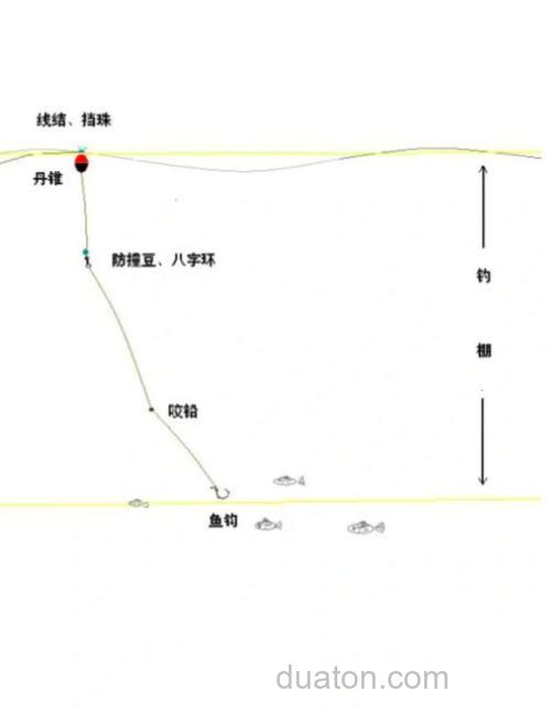 矶竿钓鲮鱼趣味多,掌握这些要点提升渔获量