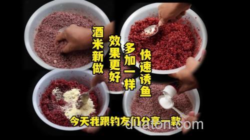 启东酒糟怎样钓鱼做窝料