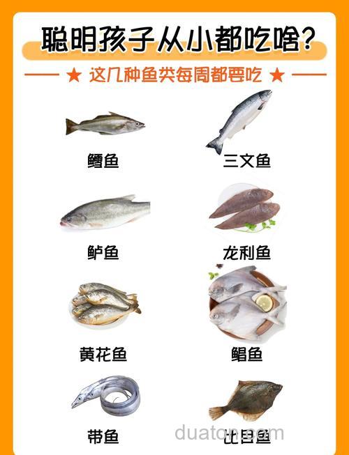 那种鱼吃了比较补身体?