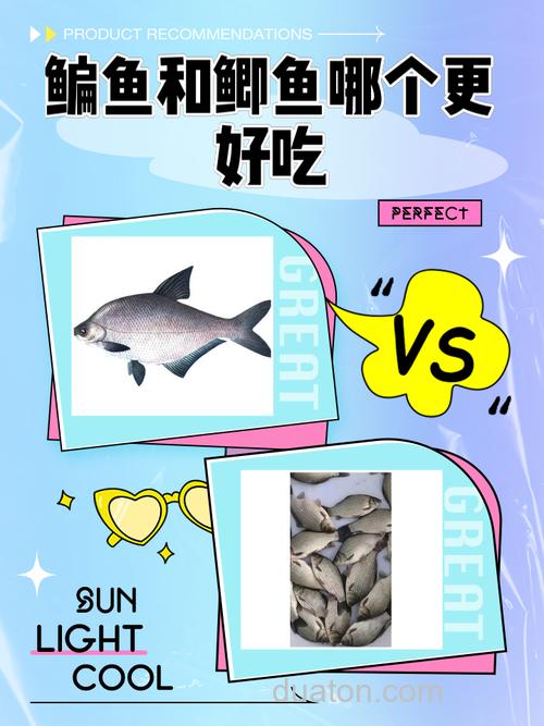 鳊鱼与鲫鱼哪个营养更好
