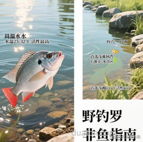 野钓经常空军的三大原因